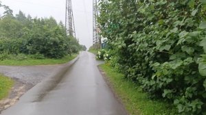 Магнолия