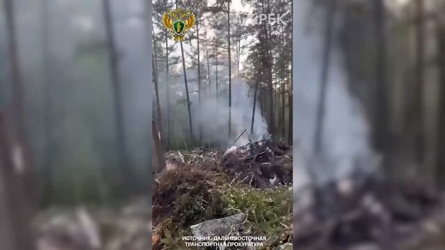 Кадры с места крушения самолета Ан-24