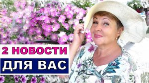 У меня для вас две супер новости. Одна хорошая, а другая еще лучше. Поддержите блогера!