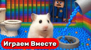 ЛАБИРИНТ ДЛЯ ХОМЯКА С ЛОВУШКАМИ 🐹 УМНЫЙ ХОМЯК ВЫБИРАЕТСЯ ИЗ СЕКРЕТНОЙ ТЮРЬМЫ С ЛОВУШКАМИ