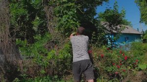 #5/Купили дом в Краснодарском крае /убираем участок/до и после/цыплятки