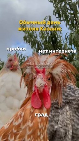 1000257584.mp4