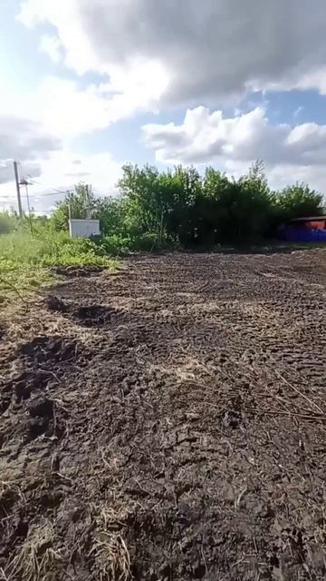 ЗУ Майма Заборского смотреть онлайн