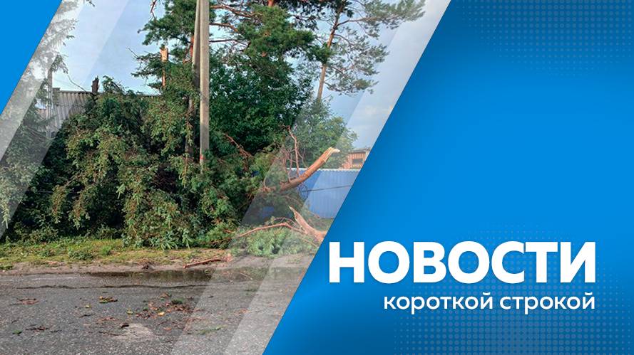 КОРОТКИЕ НОВОСТИ_240725