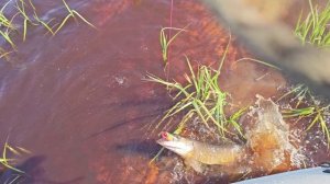 День рыбака часть 2