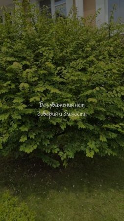 Задолбали red флаги? Каждые новые отношения разваливаются как карточный домик?