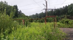 Магнолия
