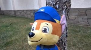 Щенячий патруль и баба яга
