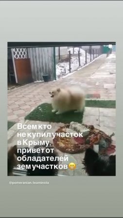привет всем кто не купил участок в в Крыму