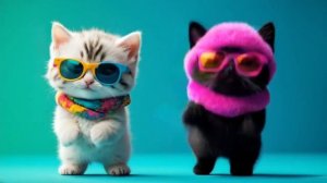 коты в смешных шапках