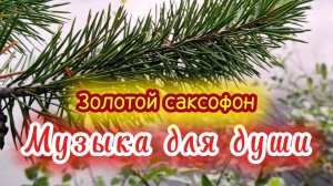 МУЗЫКА ДЛЯ ДУШИ. САКСОФОН. РЕЛАКС.
