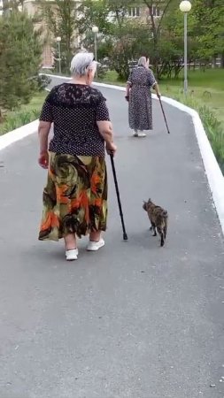Может, присядем?