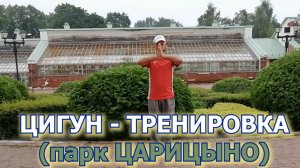 Цигун тренировка в парке ЦАРИЦЫНО. Тренер Андрей Тоцкий