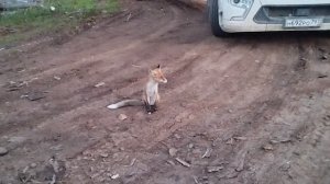 b30767d0-6dbd-464a-a1c0-7474453c7f56-1_all_3213.mp4