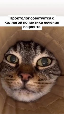 Проктолог советуется с коллегой по тактике лечения пациента