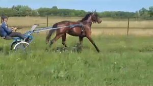 Лиао "Ч" (к)   (Money Macintosh - Luce Axe от Ready Cash)