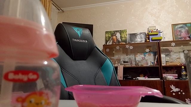 реборны
