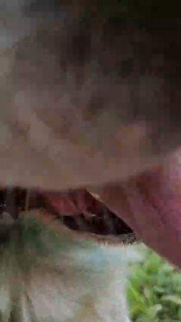 rutube.ru