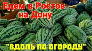 Ейск-Ростов на Дону. Самые вкусные арбузы... Салат на зиму.