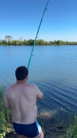 Встречали такого?!