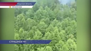 Глеб Никитин выразил соболезнования родным погибших в авиакатастрофе в Амурской области