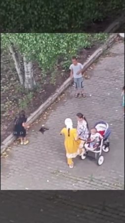 В Приморье дети убили голубя палками