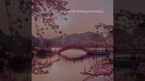 Докучаев Александр ВИШНЯ Слайд-шоу