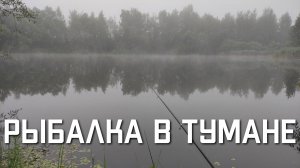 Рыбалка утром в тумане на карася в Московской области на поплавочную удочку