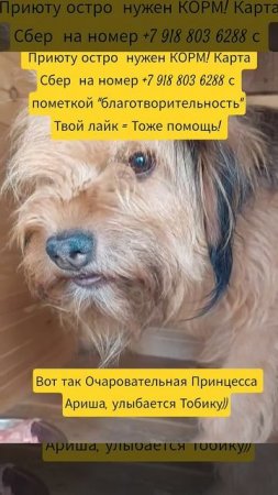 НАС100=99хвостиков+1человек!