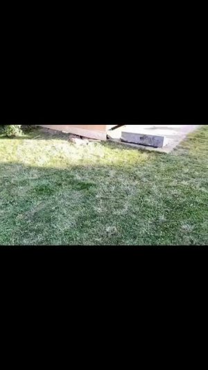 1000029429.mp4