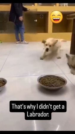 1000065638.mp4