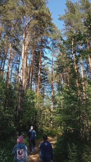 Прогулка по Заячьей тропе - экотропы рядом с Петербургом #экотропы  #природа  #лес  #красотаприроды