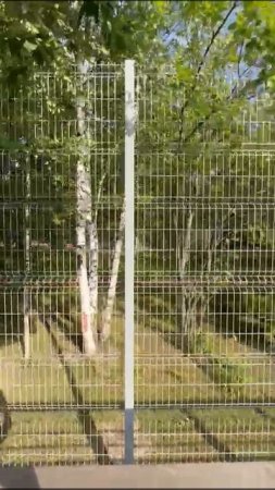 VID-20250708-WA0001