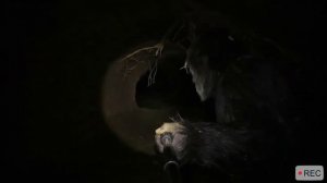 Думал всё, хана... а это Серёга!