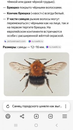 Крутой ролик на канале!!!!