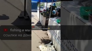 Прямая трансляция fishing и мы !
