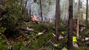 Появились новые кадры с места крушения Ан-24, снятые из тайги