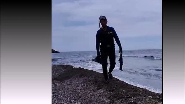 Ваше море...