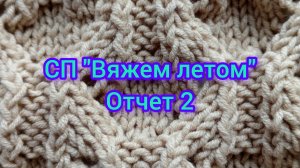 СП "Вяжем летом"   Отчет 2