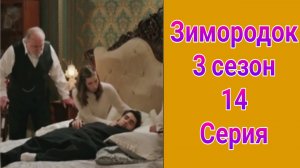 Зимородок 3 сезон 14 серия турецкий сериал на русском с озвучкой НТВ 2025