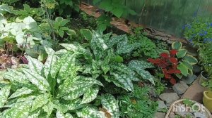 Цветочки для настроения 🤗💐