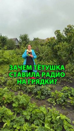 Зачем тётушка ставила радио на грядки