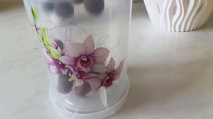 Черенки Пеларгонии Пышное цветение