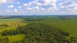 Боровское Алтайский край 2025