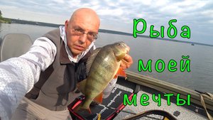 Монстры окуни и злые щуки. Рыбалка выходного дня.