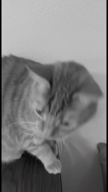 Комплексный анализ личности с 50%#анализличности#самопознание#психология#нумеролог#профориентация