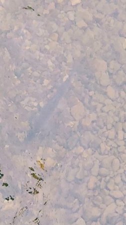 24 июля 2025 Рыбалка на Оле. Рыбы нет!🐟🤷🏻♀️😄 #nastikae #fishing #горбуша