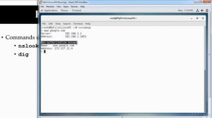 161 - Hostname or IP Lookup nslookup and dig