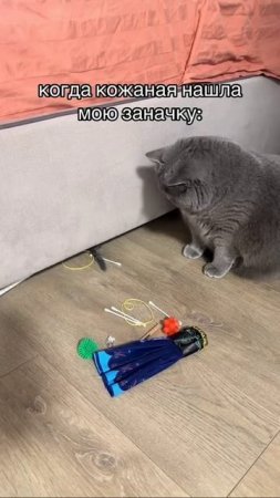 1000257652.mp4