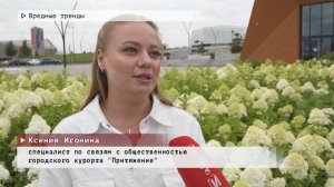 Время местное. Эфир: 24-07-2025 - Вредные тренды